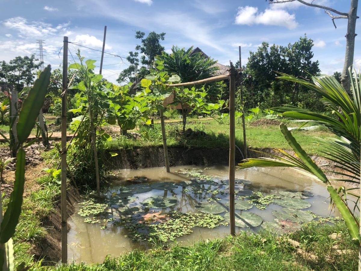 Mekong Daniel Homestay Can Tho Eksteriør billede