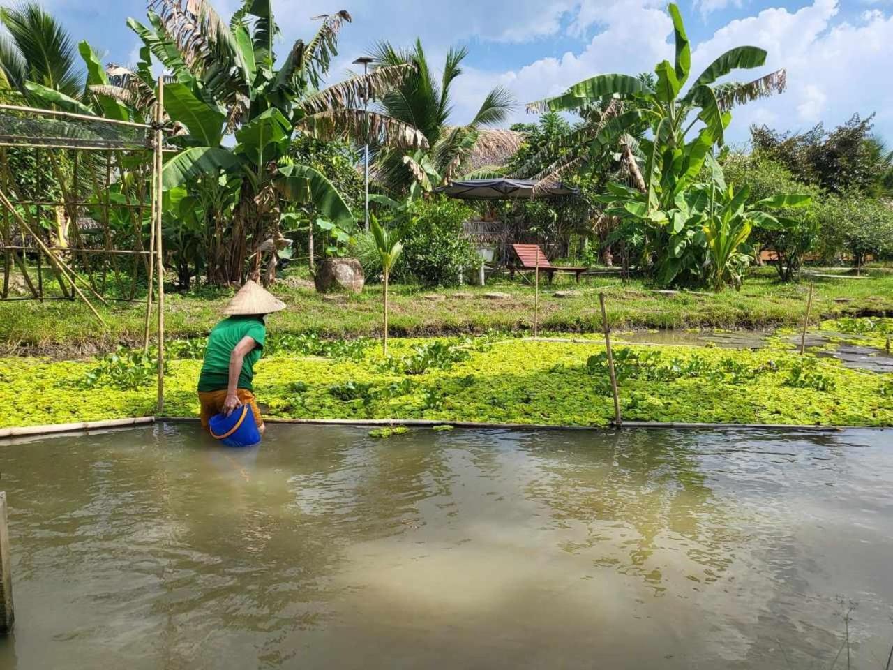 Mekong Daniel Homestay Can Tho Eksteriør billede